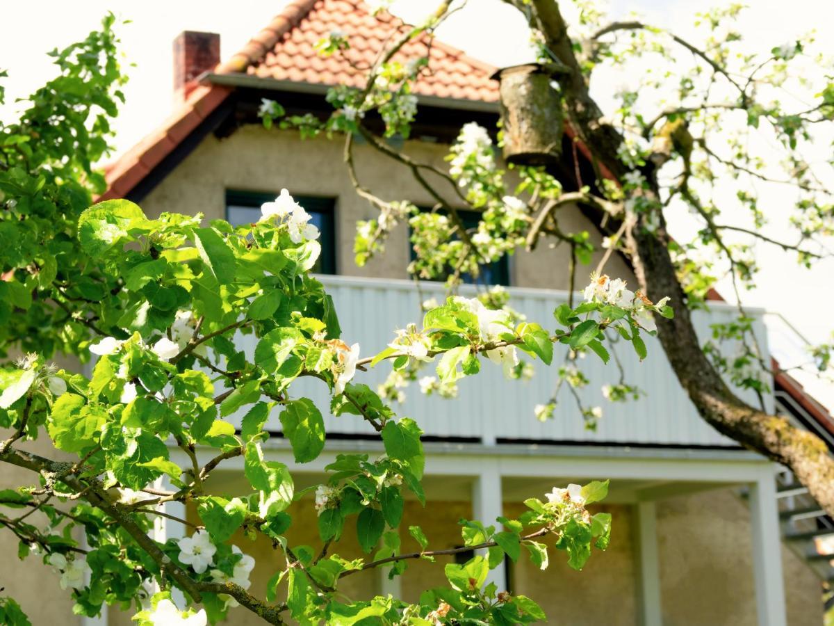 Ferienwohnung Rohlffs Stolpe Auf Usedom Exterior foto
